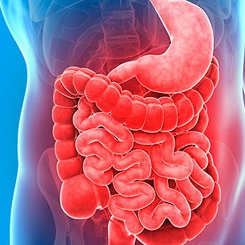 aparatodigestivoyenfermedades